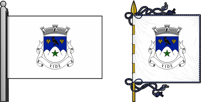 Bandeira e estandarte da antiga freguesia de Vide - Vide former civil parish, flag and banner Bandeira e estandarte da antiga freguesia de Vide - Vide former civil parish, flag and banner