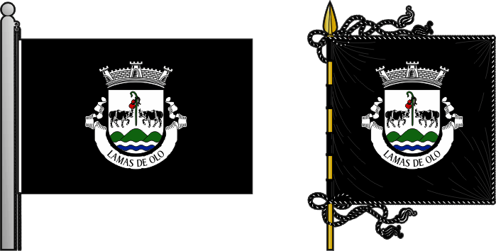 Bandeira e estandarte da antiga freguesia de Lamas de Olo - Lamas de Olo former civil parish, flag and banner