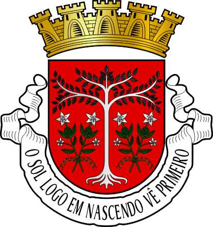 Brasão do Concelho de Díli - Díli municipal coat-of-arms