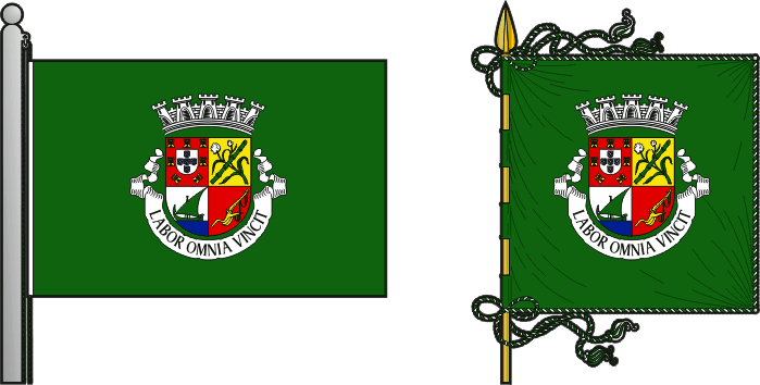 Bandeira e estandarte do Concelho de Moçâmedes municipal flag and banner