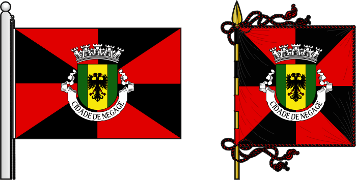 Bandeira e estandarte do Concelho de Negage - Negage municipal flag and banner