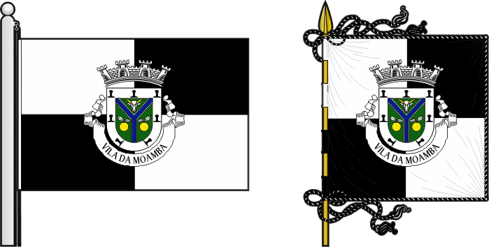 Bandeira e estandarte da Circunscrição do Sàbié - Sàbié circunscription flag and banner