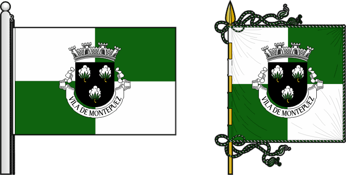Bandeira e estandarte do Concelho de Montepuez - Montepuez municipal flag and banner