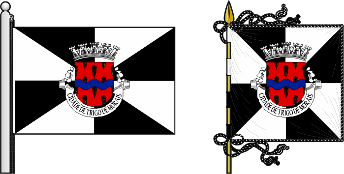 Bandeira e estandarte do Concelho do Baixo Limpopo - Baixo Limpopo municipal flag and banner