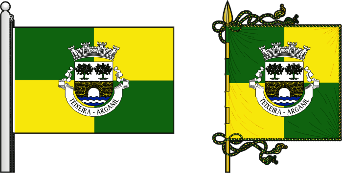 Bandeira e estandarte da antiga freguesia de Teixeira - Teixeira former civil parish, flag and banner
