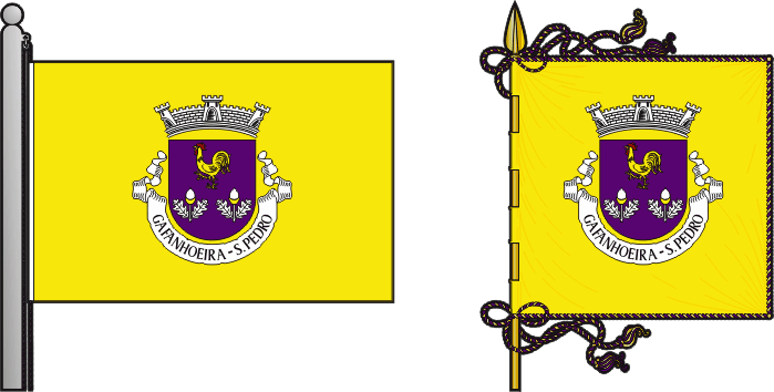 Bandeira e estandarte da antiga freguesia de Gafanhoeira (São Pedro) - Gafanhoeira (São Pedro) former civil parish, flag and banner