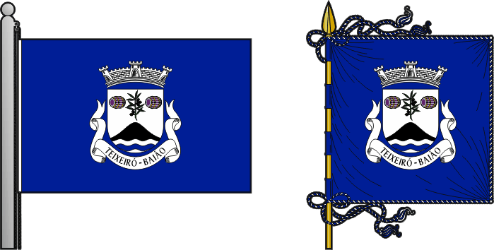 Bandeira e estandarte da antiga freguesia de Teixeiró - Teixeiró former civil parish, flag and banner Bandeira e estandarte da antiga freguesia de Teixeiró - Teixeiró former civil parish, flag and banner