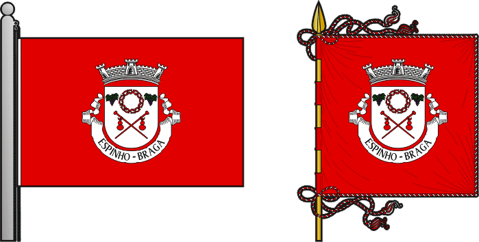 Bandeira e estandarte da freguesia de Espinho - Espinho civil parish, flag and banner