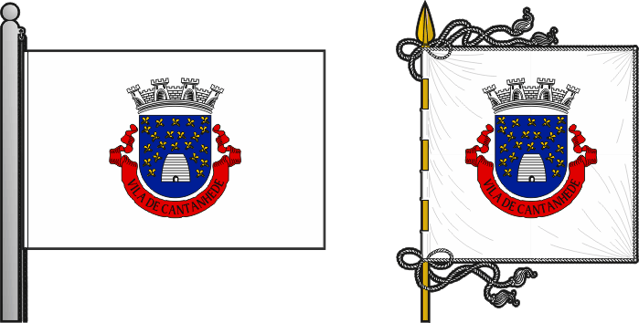 Proposta para a bandeira e estandarte do Município de Cantanhede - Cantanhede municipal flag and banner proposal