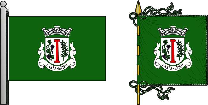 Bandeira e estandarte da antiga freguesia de Castanheiro - Castanheiro former civil parish, flag and banner