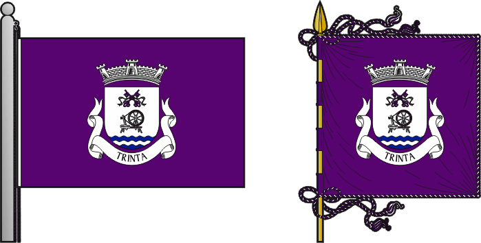 Bandeira e estandarte da antiga freguesia de Trinta - Trinta former civil parish, flag and banner