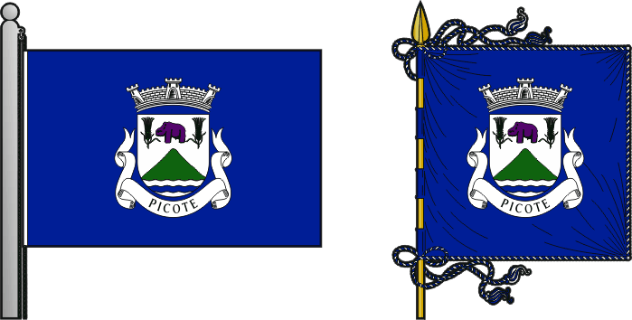 Bandeira e estandarte da freguesia de Picote - Picote civil parish, flag and banner