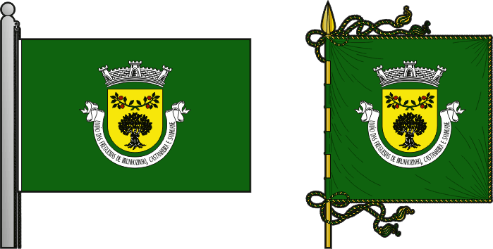 Bandeira e estandarte da Freguesia de Brunhozinho, Castanheira e Sanhoane - Brunhozinho, Castanheira and Sanhoane civil parish, flag and banner