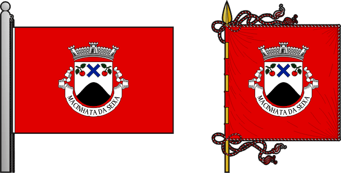 Bandeira e estandarte da antiga freguesia de Macinhata da Seixa - Macinhata da Seixa former civil parish, flag and banner
