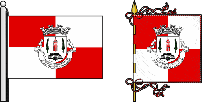 Bandeira e estandarte da União das freguesias de Bustos, Troviscal e Mamarrosa - Bustos, Troviscal and Mamarrosa civil parishes union flag and banner Bandeira e estandarte da União das freguesias de Bustos, Troviscal e Mamarrosa - Bustos, Troviscal and Mamarrosa civil parishes union flag and banner