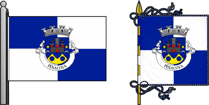 Bandeira e estandarte do Município de Penacova - Penacova municipal flag and banner
