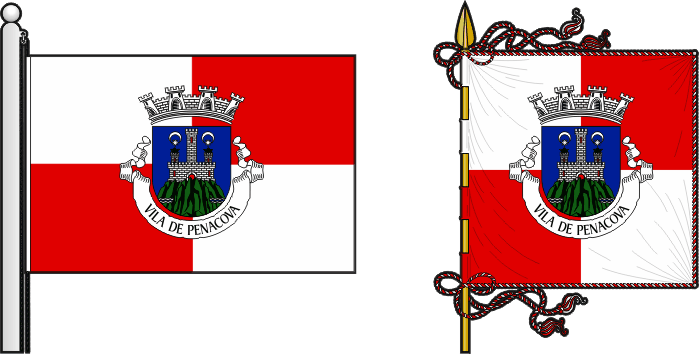 Proposta para a bandeira e estandarte do Município de Penacova - Penacova municipal flag and banner proposal
