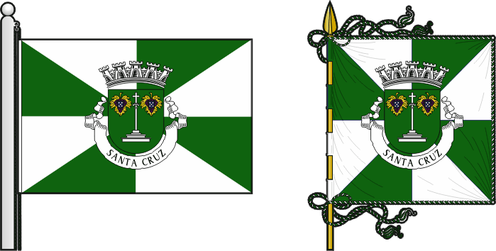Bandeira e estandarte do Município de Santa Cruz - Santa Cruz municipal flag and banner