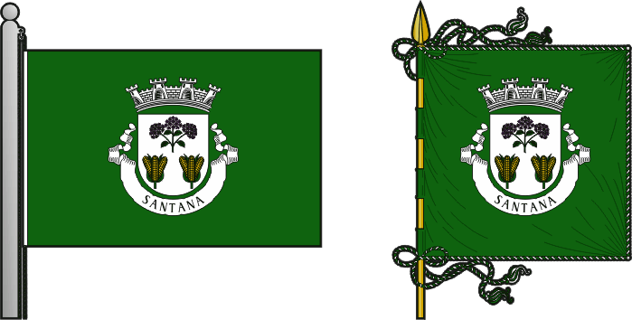 Bandeira e estandarte do Município de Santana - Santana municipal flag and banner