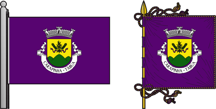 Bandeira e estandarte da freguesia de Carapinha - Carapinha civil parish, flag and banner